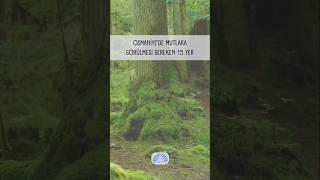 Osmaniyede Mutlaka Görmeniz Gereken Yerler Resimi