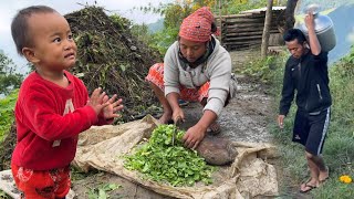 Happy Family Working Together | Cooking Village Food | Simple Village Life | BijayaLimbu