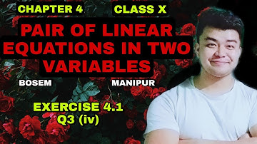 Exercise 4.1 |Q3 (iv)| Chapter 4 | Linear pair of equations in two variables  | Class 10  | Bosem