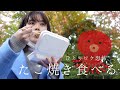 たこ焼きたべながら、最近始めたことのおはなし。