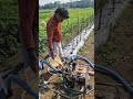 Easy process of watering plants-Agriculture farming #shorts