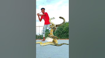 Nag nagin ki nagmani Snake 🐍 viral video Kinemaster Editing Nurul #shorts #shortsfeed #viral
