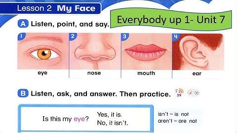 Everybody up 1 Unit 7 Science Day  Lesson 2 My Face