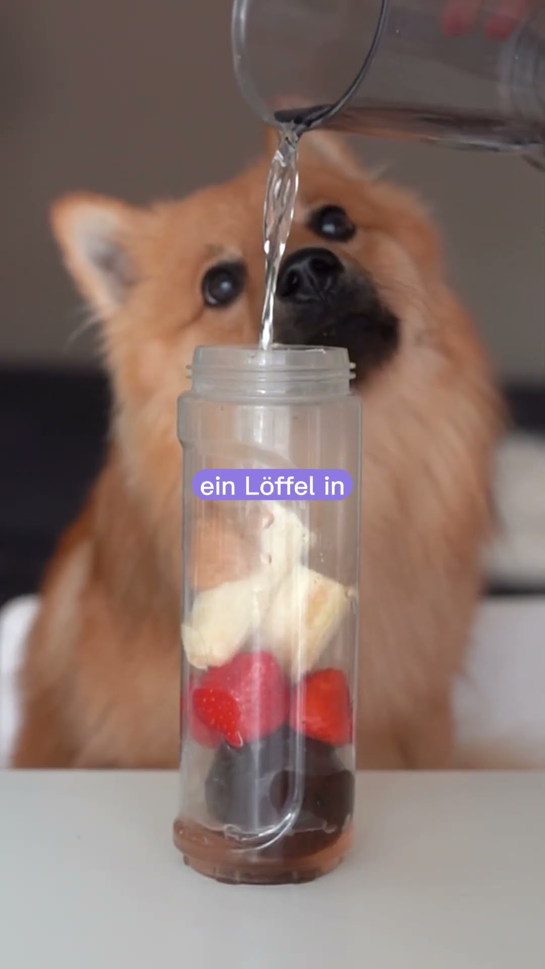 Schnelles &amp; einfaches Hunde-Erdbeereis 🐶🍓#dog #doglover #hundeliebe # ...