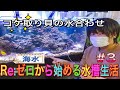 ～コケ取り貝の水合わせ～ Re:ゼロから始める水槽生活 #3 【マリンアクアリウム】【総額200万円の水槽全滅崩壊からの復活日記】(サンゴ・海水・水草・淡水・魚・水槽)水槽ルーティーン・海水水槽