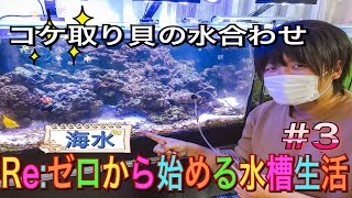 ～コケ取り貝の水合わせ～ Re:ゼロから始める水槽生活 #3 【マリンアクアリウム】【総額200万円の水槽全滅崩壊からの復活日記】(サンゴ・海水・水草・淡水・魚・水槽)水槽ルーティーン・海水水槽