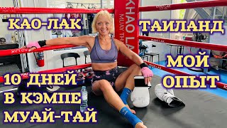видео: 10 ДНЕЙ ТРЕНИРОВОК В КЭМПЕ МУАЙ-ТАЙ, КАО-ЛАК, ТАИЛАНД.  картинка: 10 ДНЕЙ ТРЕНИРОВОК В КЭМПЕ МУАЙ-ТАЙ, КАО-ЛАК, ТАИЛАНД.