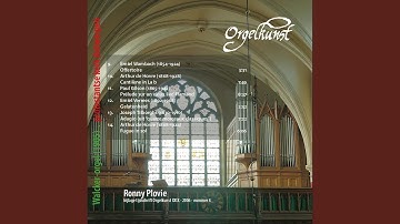 Fantaisie de Concert, Op. 52: II. andante con moto