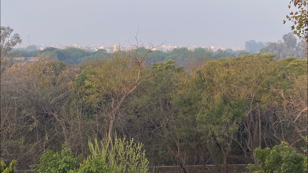 Delhi me bhi gao wala scene hai