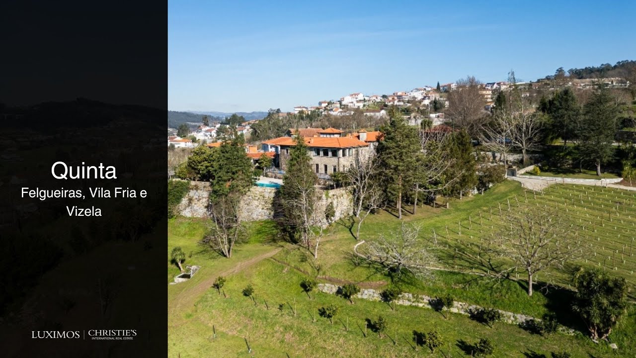 Quinta Vinícola V7 para venda em Felgueiras, Norte de Portugal