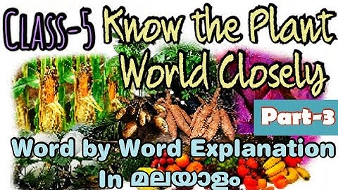 Class-5/Know the Plant World Closely/Part-3/Unit-1/Basic Science/State Syllabus/Standard-5