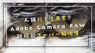 目指せGFX100S！Xシリーズでも1億画素超え！Adobe Camera RAWの新機能「スーパー解像度」を試してみるよ and waifu2x with FUJIFILM X-S10 X -T4