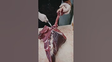 Venison Hind Breakdown #shorts
