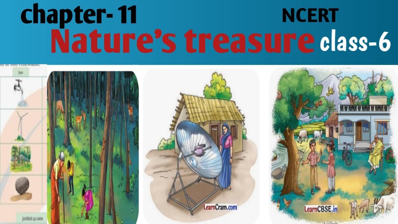 Chapter 11 | class 6 science | complete chapter - YouTube
