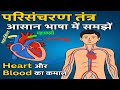 मानव परिसंचरण तंत्र | Human Circulatory System | NEET | Biology Class 10/12 | आसान भाषा में समझें