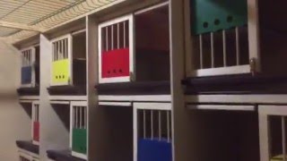 Строительство новой голубятни  2
