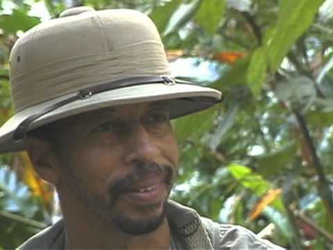 10 Trinidad bird man