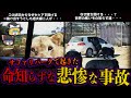 【ゆっくり解説】サファリパークで起きた悲惨な事故4選！命知らず達・・・