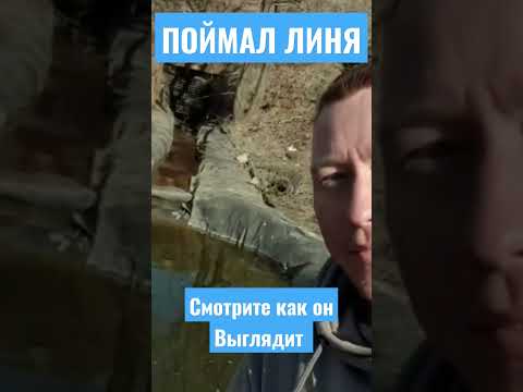 ⚠️ПОЙМАЛ ЛИНЯ🐟 СМОТРИТЕ