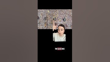 New scan reveals Titanic’s secrets