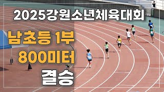 2025강원소년체육대회 남초등 1부 800미터 결승 경기