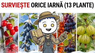 Plantează acești 13 pomi fructiferi în frig extrem și recoltează în timp ce toți ceilalți eșuează