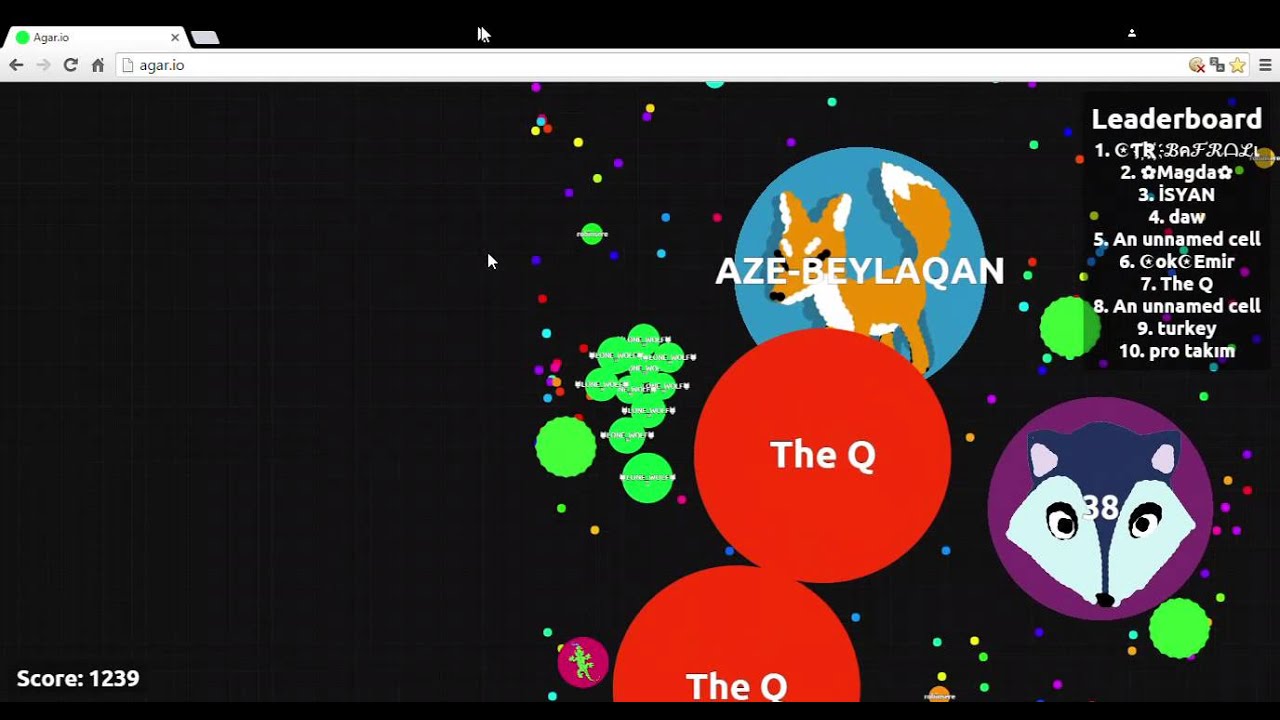 AGARIO HACKED SERVER