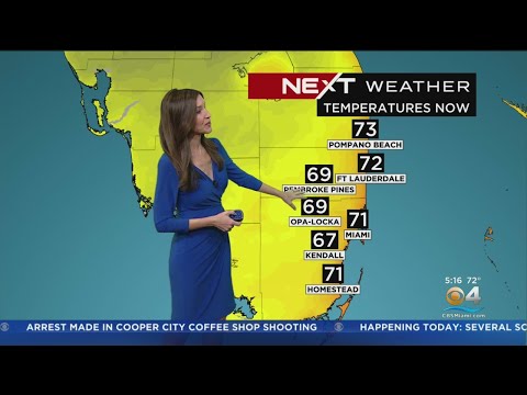 Video: November in Miami: gids voor weer en evenementen