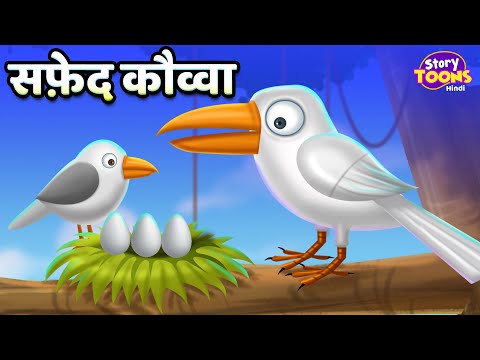 वीडियो: डॉग्स में हार्ट मुरमुरे