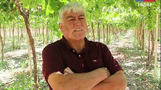 Avanzamos en una Agricultura Sostenible y Resiliente.