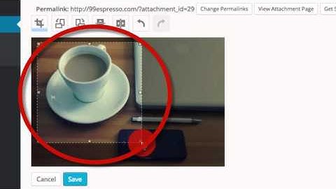 WordPress Tutorial: How to Edit an Image