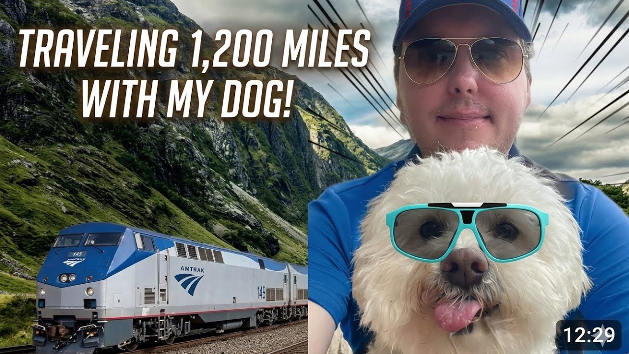 Traveling With Dog to Canada from US: Essential Tips & Tricks