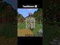 Minecraft ☠️#shorts