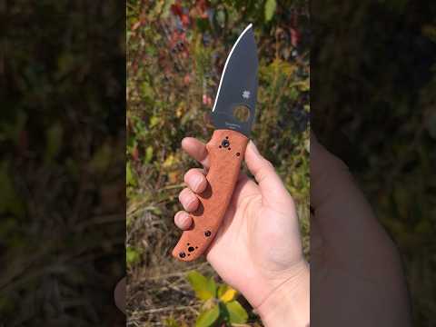 Spyderco Knives Shaman M390 Steel | Orange Micarta Handle @SpydercoKnivesOfficial