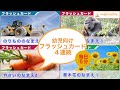 フラッシュカード 連続メドレー 幼児 向け単語60語 0歳 〜 3歳 から始める 幼児 向け 動画・ 幼児 教育 Japanese Flash card medleys for Kids