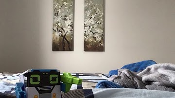 When a robot sees his reflection from a video