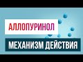 Аллопуринол, механизм действия. Как работают ингибиторы ксантиноксидазы. Лечение подагры