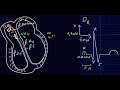 ECG - Introduction - Docteur Synapse