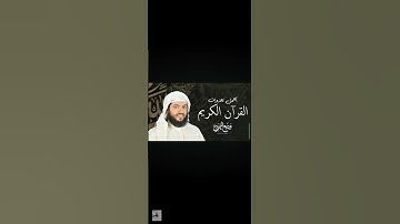 مما تيسر من سورة مريم/الشيخ وديع اليمني