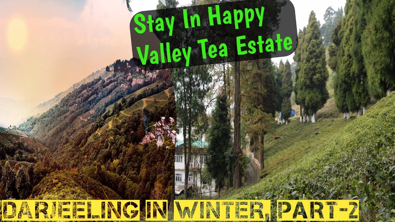 Happy Valley Tea Estate Stay In Darjeeling Garden Side Home Stay