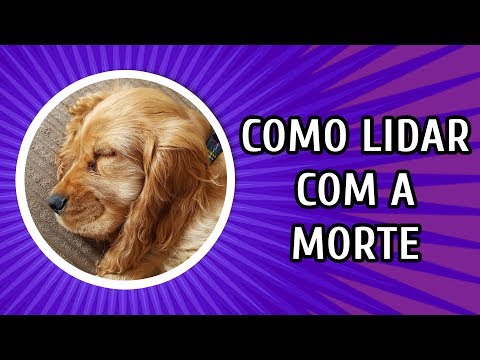 Vídeo: Como parar o cão de choramingar e chorar