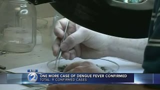 11 cases of locally acquired dengue fever confirmed on Hawaii Island