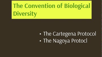 IP Law Week 6 intro video