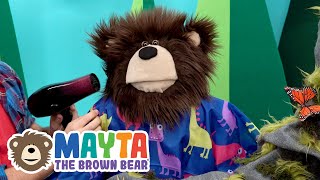 Mayta the Brown Bear - Toddler Learning Videos Live Stream