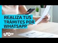 Citas para el pasaporte y otros trmites oficiales que puedes hacer desde whatsapp