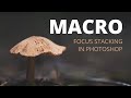 MACRO Focus Stacking in Photoshop