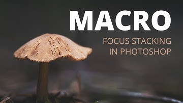 MACRO Focus Stacking in Photoshop