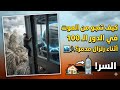 كيف تنجو من الموت في الدور الـ 100 أثناء زلزال مدمر 