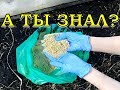 СЕКРЕТЫ плодородия ПОЧВЫ: вносим ПЕРЕД посадками!