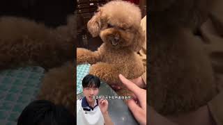 #親子教育 #兒童安全 #青年創作者成長計劃 #自然奇境科普季 #萬物皆可種草搜